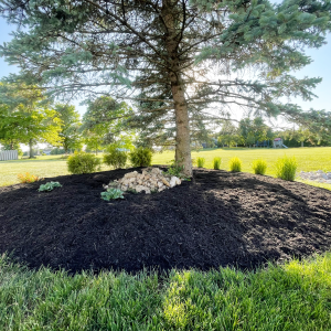 mulch bed installation